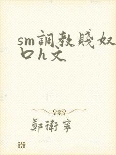 sm调教贱奴重口h文封面
