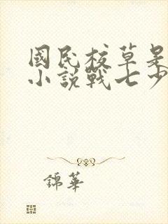 国民校草是女生小说战七少