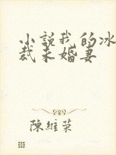 小说我的冰山总裁未婚妻