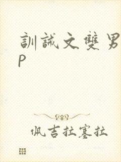 训诫文双男主sp