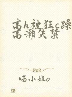 高h被狂c躁到高潮失禁封面