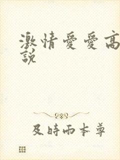 激情爱爱高潮小说