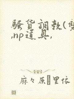 骚货调教(双性,np道具,