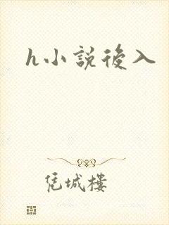 h小说后入