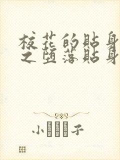 校花的贴身高手之堕落贴身校花封面