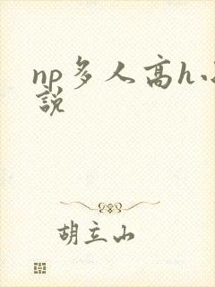 np多人高h小说