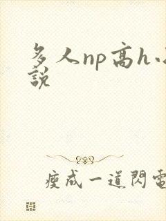 多人np高h小说