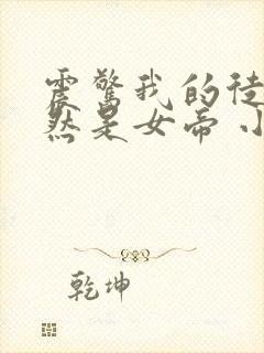 震惊我的徒弟居然是女帝 小说封面