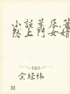 小说叶辰,萧初然上门女婿