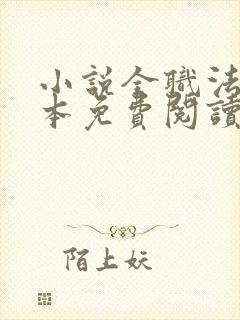 小说全职法师完本免费阅读封面