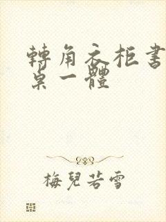 转角衣柜书柜书桌一体