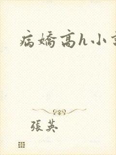 病娇高h小说