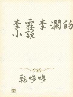 李霖李澜的官场小说