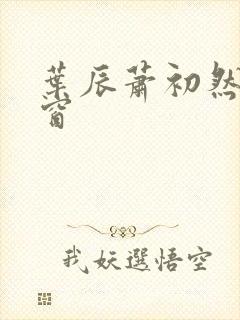 叶辰萧初然无弹窗封面