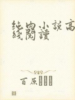 纯肉小说高h在线阅读封面