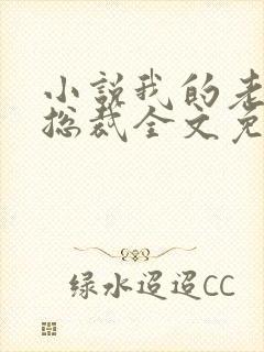 小说我的老婆是总裁全文免费阅读