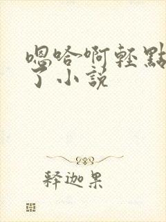 嗯哈啊轻点太快了小说