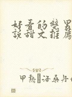 好看的双男主小说甜文推荐