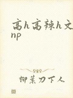 高h高辣h文乱np