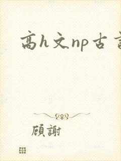 高h文np古言