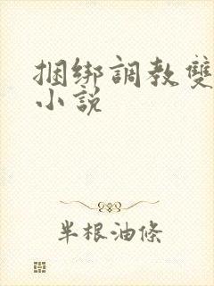 捆绑调教双性的小说