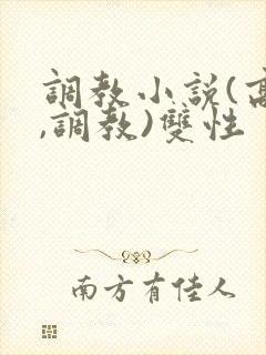 调教小说(高h,调教)双性