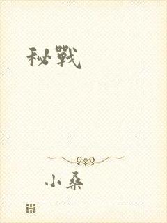 秘战