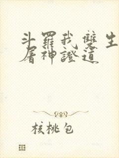 斗罗我双生武魂屠神证道