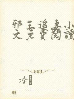 邪王追妻小说全文免费阅读全文