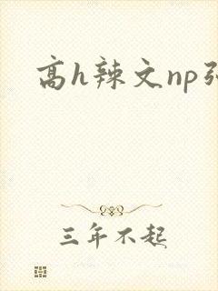 高h辣文np强