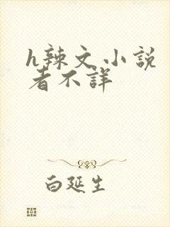 h辣文小说 作者不详