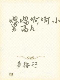 嗯嗯啊啊小说男男高h