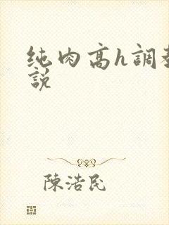 纯肉高h调教小说