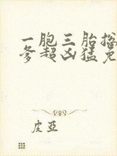 一胞三胎总裁爹爹超凶猛免费全文阅读