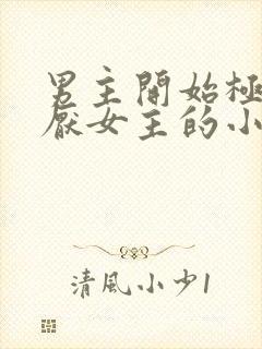 男主开始极度讨厌女主的小说