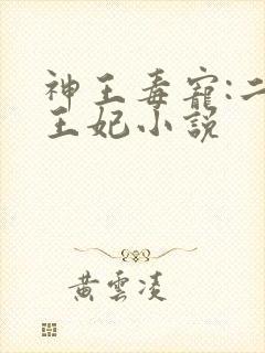 神王毒宠:二嫁王妃小说