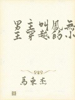 男主叫凤无殇女主穿越的小说