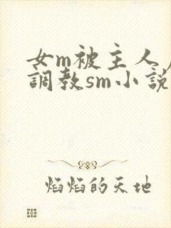 女m被主人虐玩调教sm小说封面