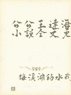 公公王达海芷晴小说全文免费阅读
