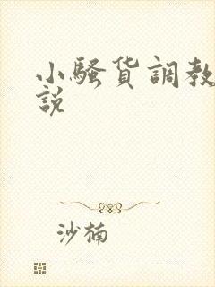 小骚货调教h小说封面