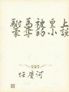 驸马被皇上强取豪夺的小说