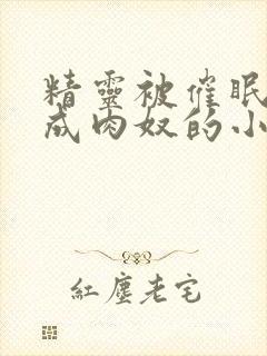 精灵被催眠调教成肉奴的小说