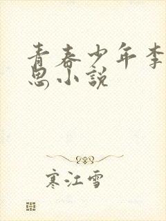 青春少年李兵沈思小说封面