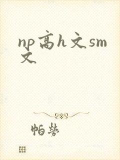 np高h文sm文