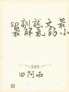 sp训诫文最狠最解气的小说封面