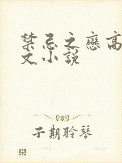 禁忌之恋高肉辣文小说