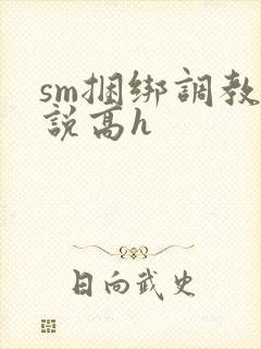 sm捆绑调教小说高h