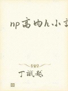 np高肉h小说