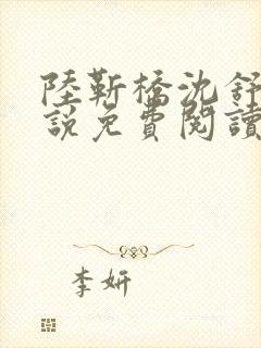 陆靳桥沈舒宁小说免费阅读最新章节封面