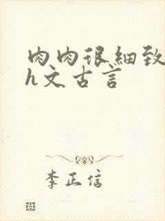 肉肉很细致的高h文古言